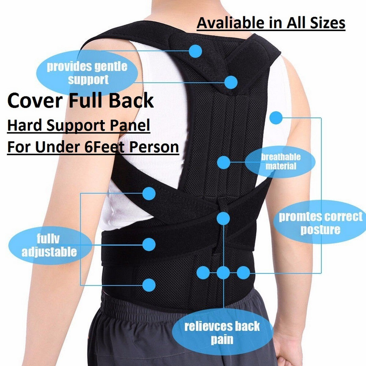 Adjustable Back Support Belt