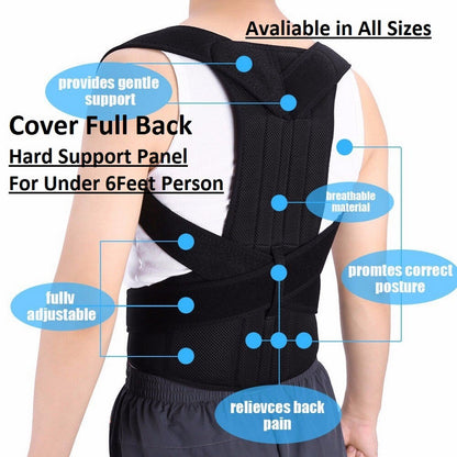 Adjustable Back Support Belt